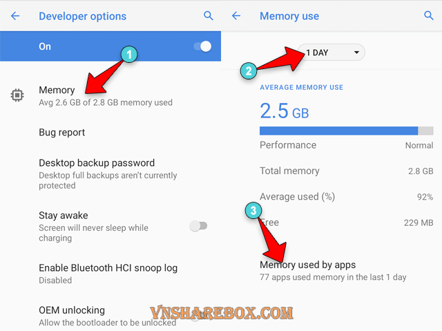 Memory use Developer option Android 10