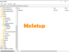 MoSetup key Registry Windows 11